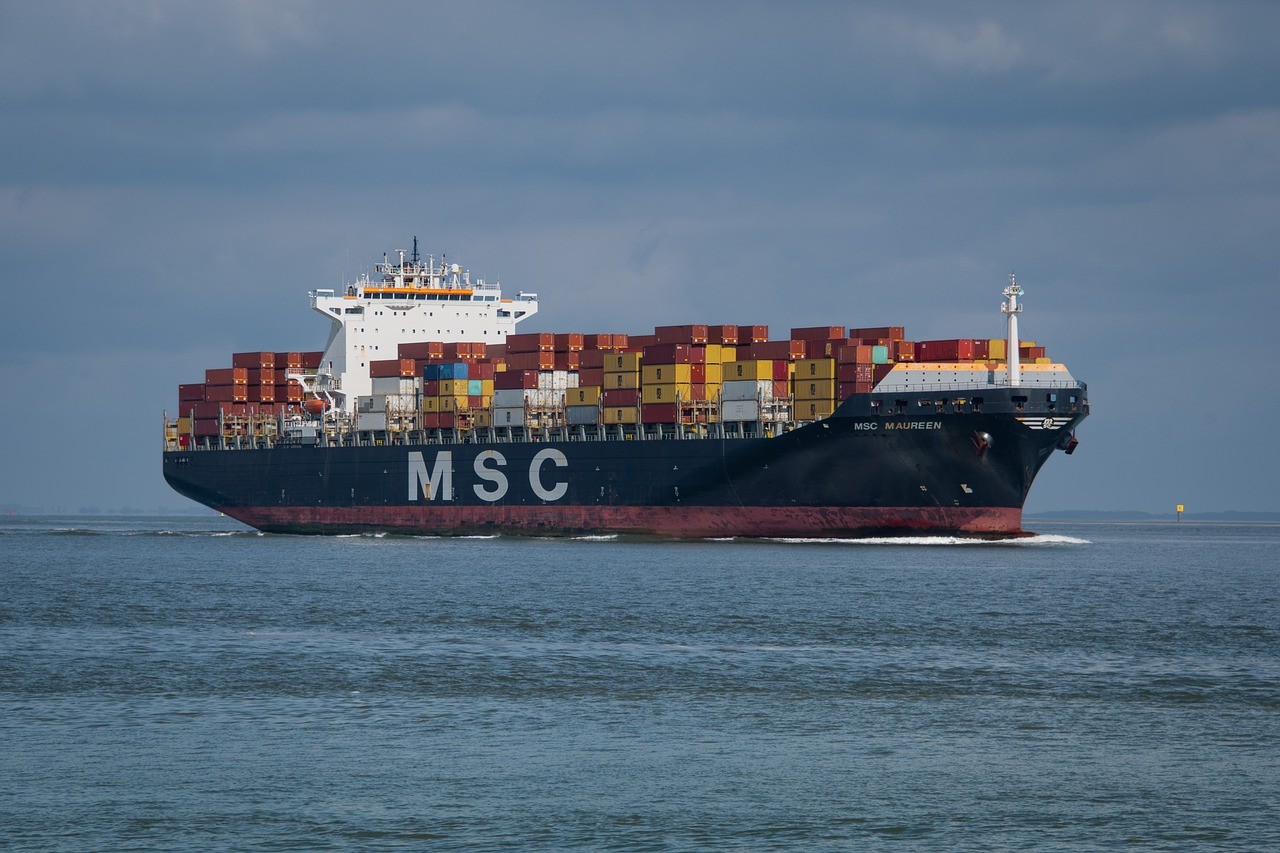 The story of the container ship and the issues related to the transports: Immagine 1